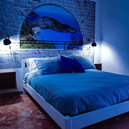 Domus *